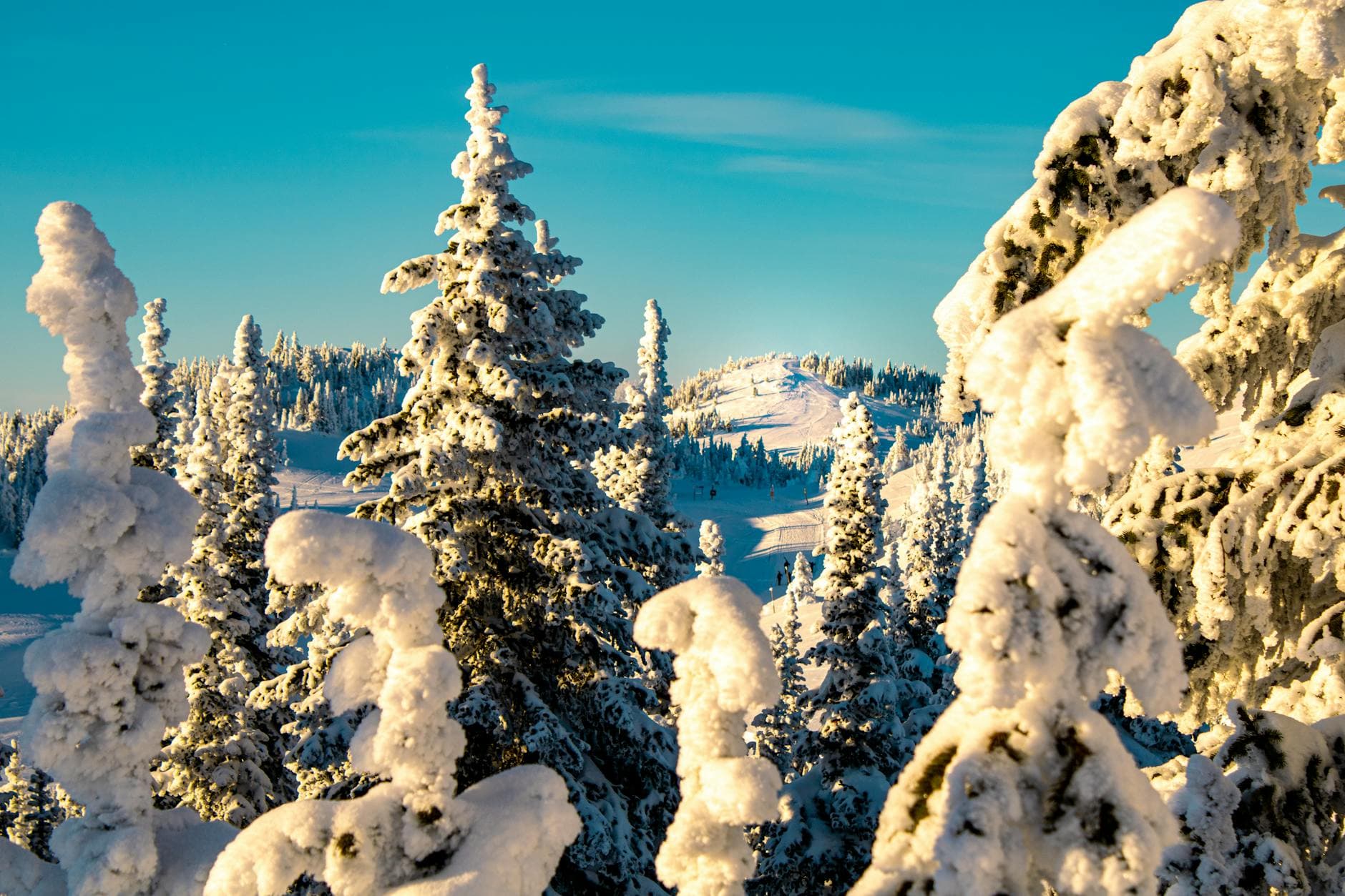Τι Να Κάνετε στο Whitefish Mt | GetSki