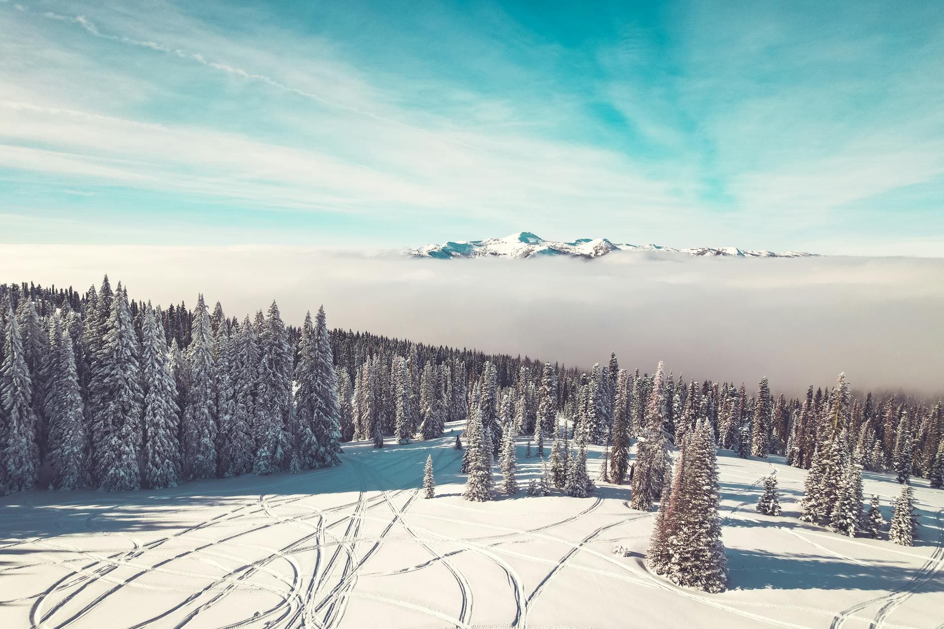 So planen Sie den perfekten Skiurlaub mit einer Gruppe in Morzine, Frankreich