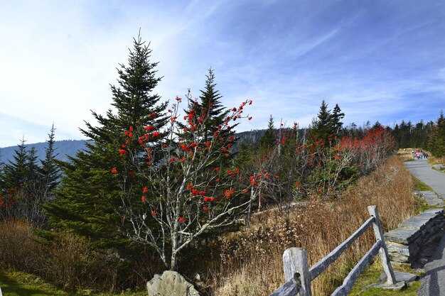 Top family-friendly winter activities and behind-the-scenes tips