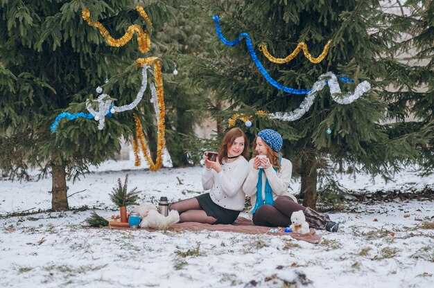 6 Resorts Filled with Christmas Spirit – The Ultimate Holiday Getaway Guide