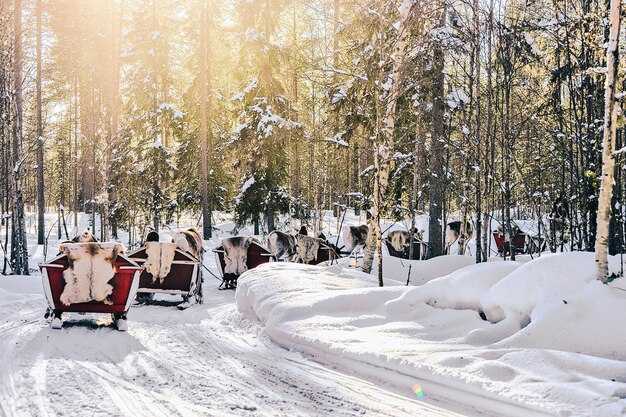 Christmas markets, dining, and festive vibes in Zermatt