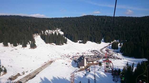 Beginner-Friendly Parks and Lessons: Quick Picks