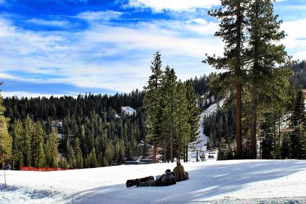 Lifts and routes: navigating peak hours and shortest lines