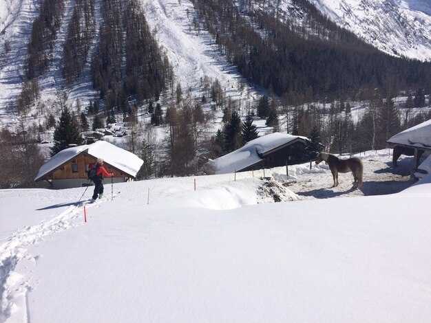 Лучшие горнолыжные курорты Европы – лучшие места для катания по пухляку и склонам