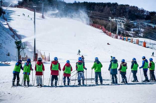 Best times and snowfall expectations for tree runs