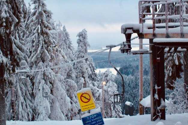 Foundational Leg Strength Without Equipment