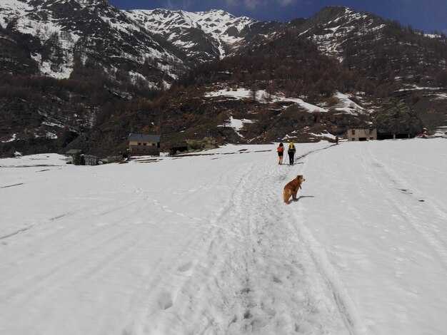 Layering and insulation for cold nights in remote camps