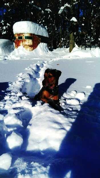 Sleep in an Igloo Village or Luxury Pod at These Ski Resorts – The Ultimate Overnight Experience