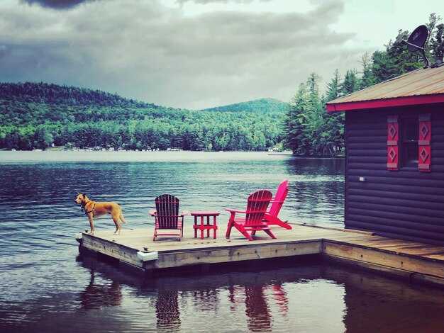 Family-friendly lodges with kids' activities and on-site amenities