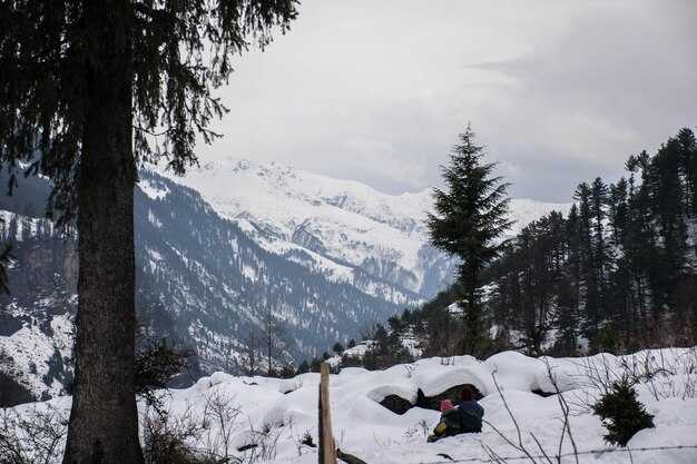 Winter Adventures in Kitzbühel – My Favorite Snowy Activities and Spots in the Austrian Alps