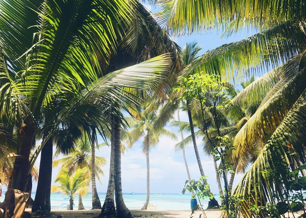 A tropical winter holiday destination in Florida for those, who want to spend their time in warm and exotic environment